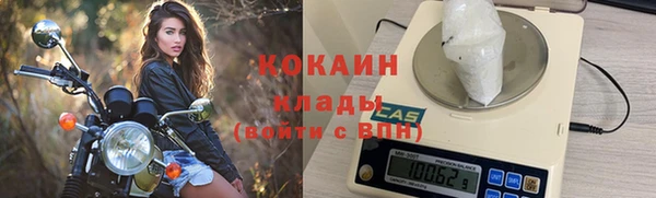 стаф Баксан